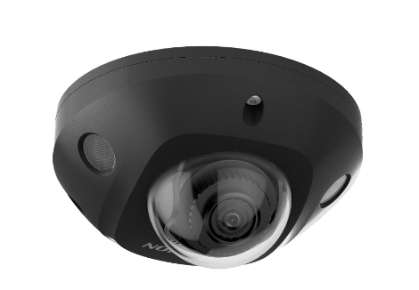 DS-2CD2543G2-IS(2.8mm)(BLACK)