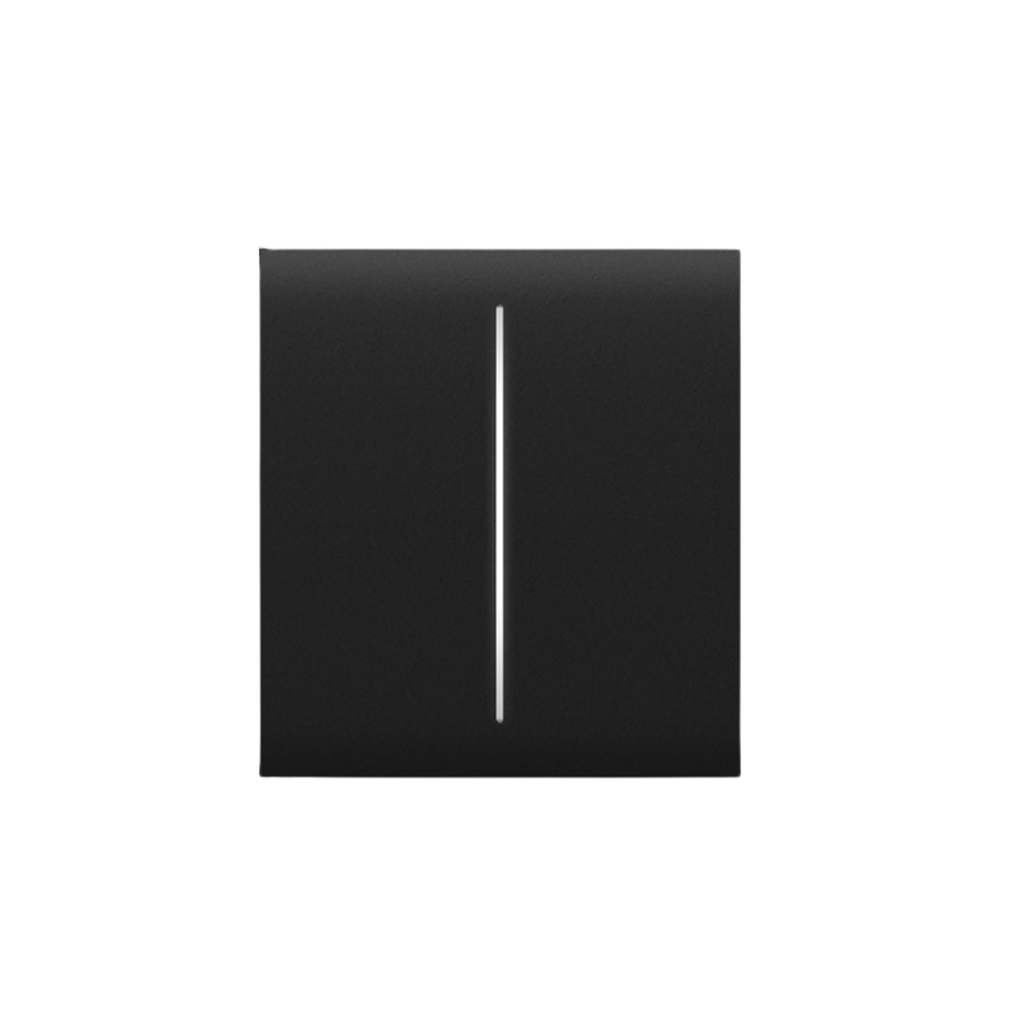 Ajax CenterButton (2-gang) [55] black 