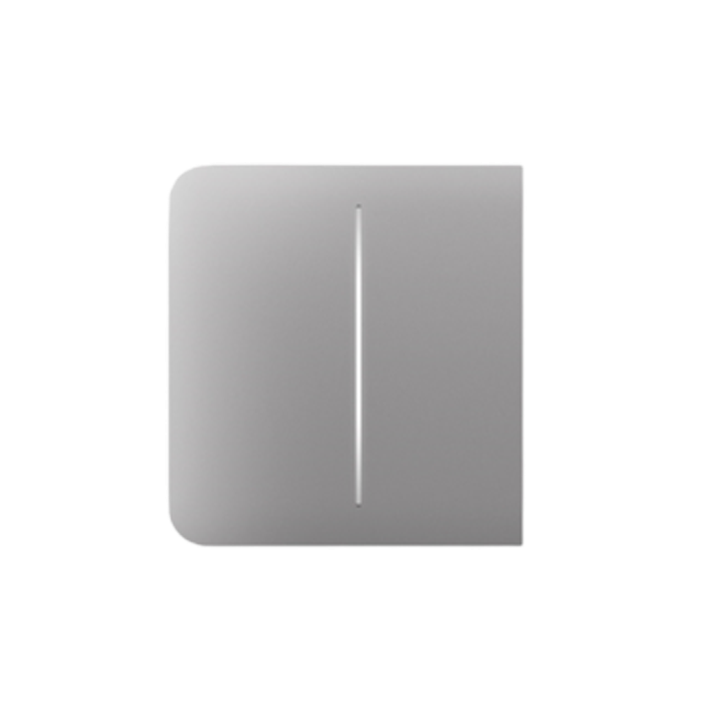 Ajax SideButton (2-gang) [55] grey  [BASELINE]
