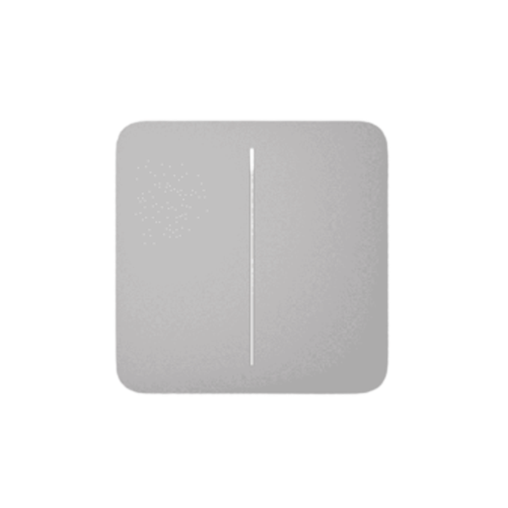 Ajax SoloButton (2-gang) [55] fog  [BASELINE]