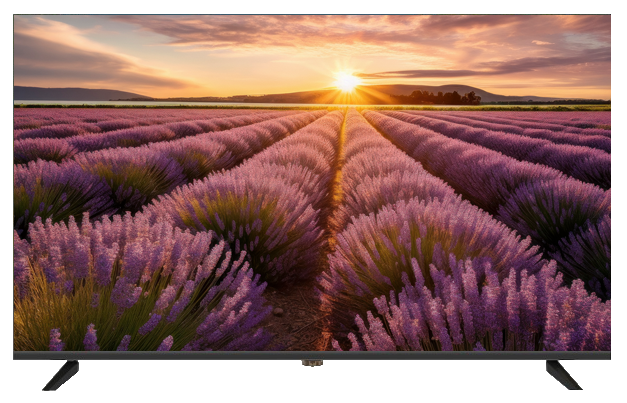 ÉCRAN LED 4K 55" 60HZ