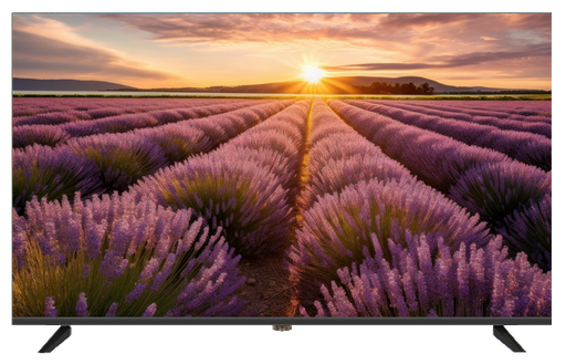 [TLMV554KV2] ÉCRAN LED 4K 55" 60HZ