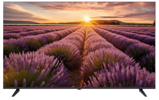 [TLMV654KV2] ÉCRAN LED 4K 65" 60HZ